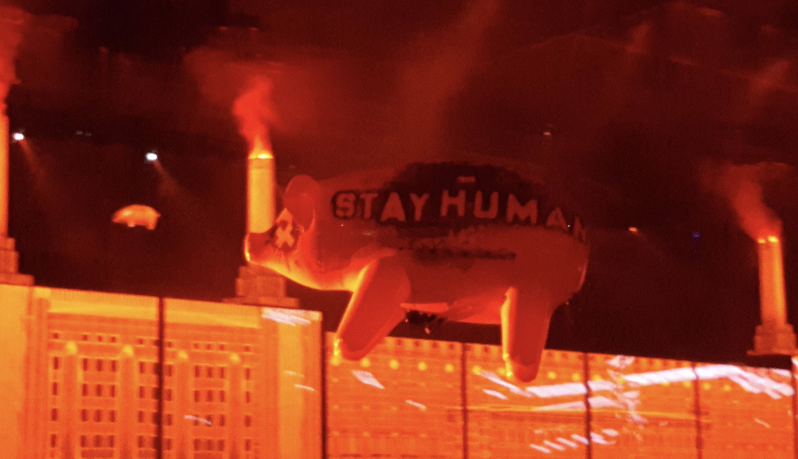 Pig at the Telenor Arena, Oslo, August 15 2018 